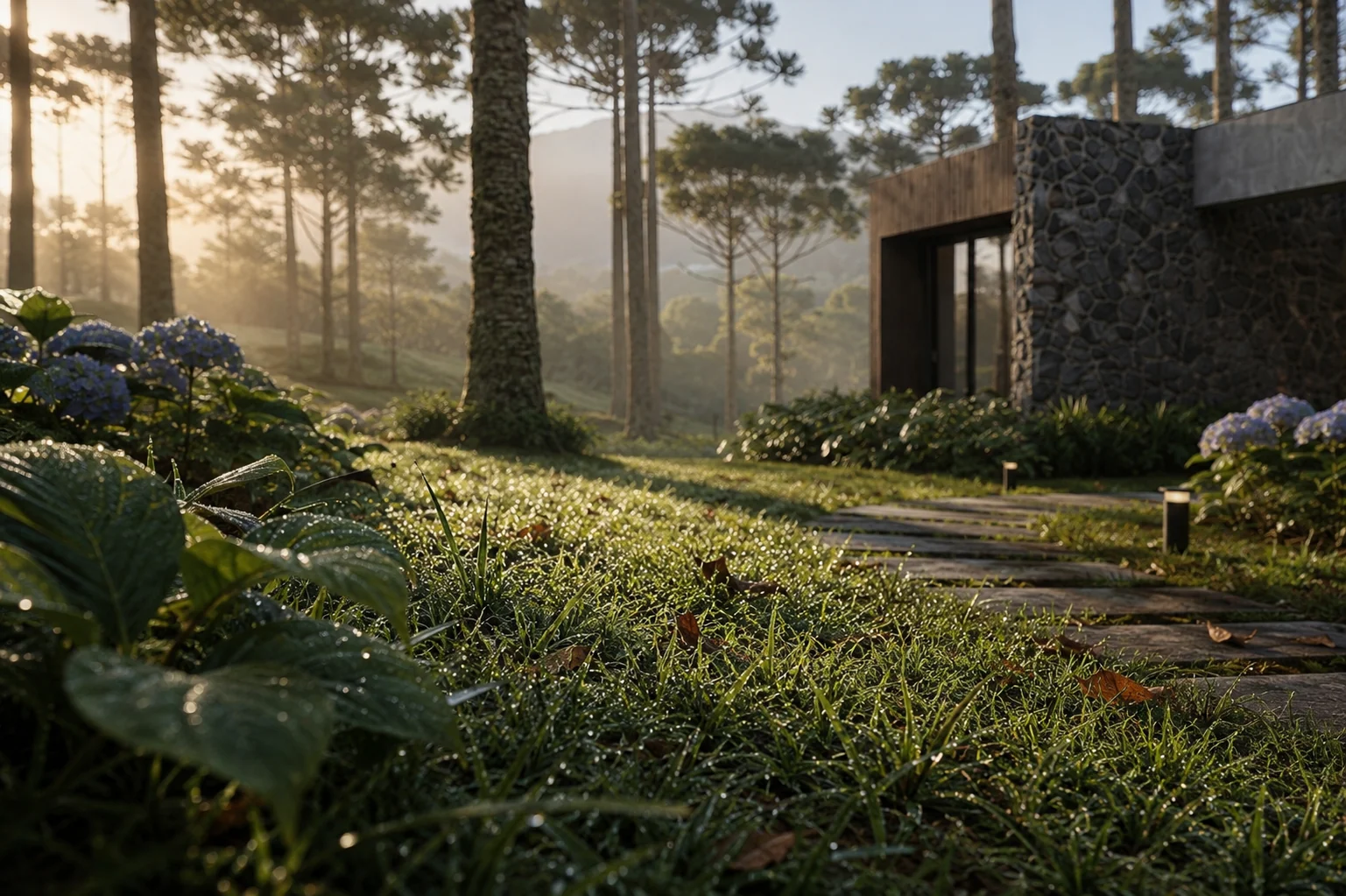 Jardim e araucárias ao redor de uma das casas do ARA na luz da manhã.
